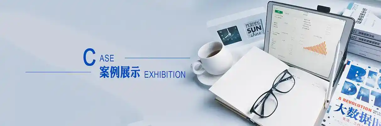 陇西县软件开发